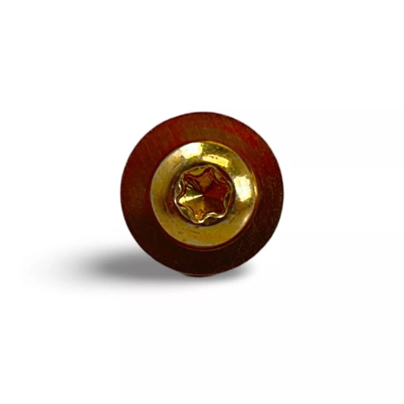 Quad Logic Polaris ATV UTV Replacement Torx Pan Screw with