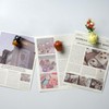 Cacukap Cute Mini Ceramic Vase Magnets for Fridge, Funny Small