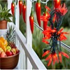 LUCKY SHINE 35 Red Pepper Decorative Lighting String, Commercial Grade