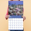 TF PUBLISHING 2025 National Parks Wall Calendar - Large Grids