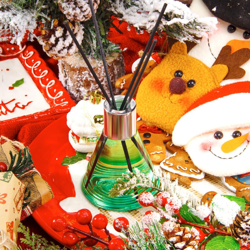 Reed Diffuser Set for Home, Citrus Scented Diffuser with 6