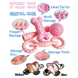 Cdyzqikm 4 Pack Puppy Toys for 2-8 Months Teething Pets Dog Chew Toy Puppies Teeth Cleaning Toy Food Dispensing Soft Rubber Bone Funny Ball Interactive Donut Treat Dumbbell for Small Medium Dogs Pink