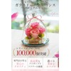 Preserved Flower IPFA Glass Dome Elegance Premium Wedding Gift Birthday