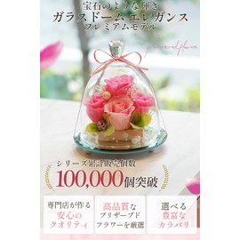Preserved Flower IPFA Glass Dome Elegance Premium Wedding Gift Birthday Present Retirement Flower Gift Rose (Pink & Pink)