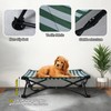 Cooling Elevated Dog Bed, Portable Dog Bed (Green+White, Medium)