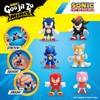 Heroes of Goo Jit Zu Sonic Minis - Season 4