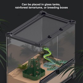 MiOYOOW Bearded Dragon Feeder, Reptile Feeder Box Anti-Escape Reptile Feeding Bowl for Lizard Gecko Bearded Dragon Frog Snakes
