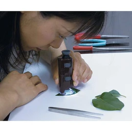 MAFYLASS Test Series Pocket Microscope (Black/Gray) with LED Light LP-33G