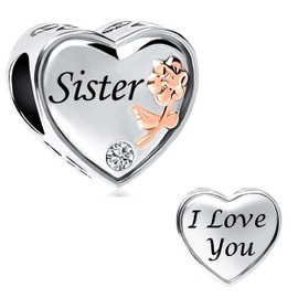 SBI Jewelry Girls Women Sister Rose Heart Charm for Bracelets Necklace Pendant Silver Beads CZ Shiny Friends BFF Daughters Classmate Brother Mum Anniversary Birthday