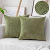 Home Brilliant Green Cushion Covers for Scatter Cushions, Decorative Chenille