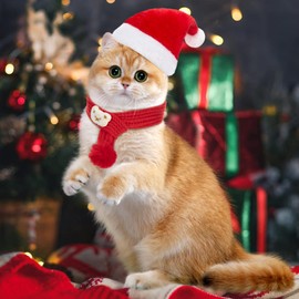 MELLIEX Pack of 2 Christmas Cat Costume Dog Costume Cats Dogs Christmas Scarf Christmas Hat Christmas Costume Accessory Set for Pet