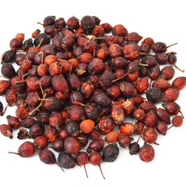 Rosehip Salve Herbal Balm Skin Body Care Ointment 2 oz