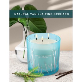 Vanilla Pine Orchard 3 Wick Candle - Luxury Scented Soy Candles for Home Large 14.5 Oz - Aromatherapy Stress Relief Candles Highly Scented - Relaxing Vanilla Winter Pine Candles for Women & Men