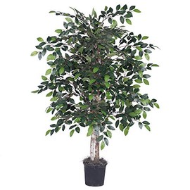 Vickerman Everyday 4' Artificial Ficus Bush in a Black Plastic Pot - Lifelike Home Office Decor - Faux Indoor Potted Bush