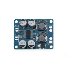 FamilyMall 60W TPA3118 PBTL DC 8-24V Mono Digital Amplifier Board AMP Module Chip 1X60W