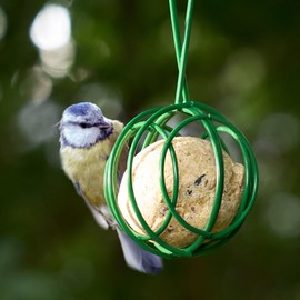 Hanging Fat Ball Feeder (Pack of 3) - Galvonised Iron - WEATHERPROOF Bird Feeders for Small Birds, Outdoor Garden Suet Feeder for Trees or a Bird Feeders Hanging Station