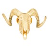 Boland 54319 Decorative Animal Skull with Two Horns, 28 x