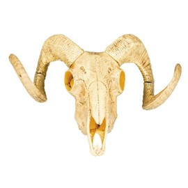 Boland 54319 Decorative Animal Skull with Two Horns, 28 x 36 cm, Taurus, Wild West, Party Decoration for Theme Party and Carnival