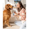 Paw Ready Pet Toothbrushing Assistant for Puppies' Dogs and Cats