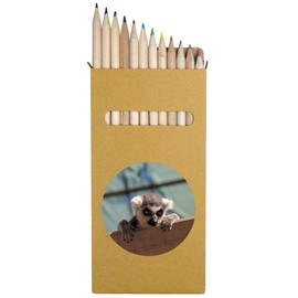 Azeeda 12 x 'Peeking Lemur' Long 178mm Coloured Pencils/Pencil Set (PE00054289)