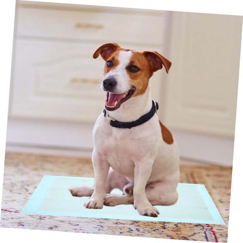 Gatuida 50pcs Leak-Proof Disposable Pet Training Pads Absorbent Pee Pads