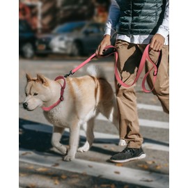 FunTags Reflective Martingale Collar for Dogs, Quick Release Buckle, 5FT Double Handle Dog Leash Padded, Dog Collar and Leash Set, Adjustable for Large Dogs (BabyPink, L)