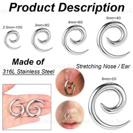 BodyAce Stainless Steel Ear Weights Gauges, Spiral Earrings Expander Snail Twist Ear Plugs, Earring Stretching Tapers Ear Gauge 2/4/6/8/10g Piercings Jewelry (2.5mm)