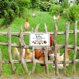 TRIOSK Funny Chicken Sign with Saying "Es gibt so viele Hühner" Tin Sign 20 x 30 cm Metal Sign Sayings Gift for Chicken Holders Farmers