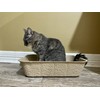 Midlee Large Disposable Cat Litter Boxes - Set of 20-