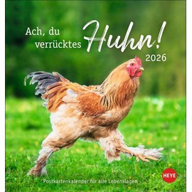 Hühner Postkartenkalender 2026 - Ach, du verrücktes Huhn!: Der Postkarten-Tischkalender 2026 für Fans des Federviehs mit coolen Sprüchen. ... 16 x 17 cm (Postkartenkalender Heye)