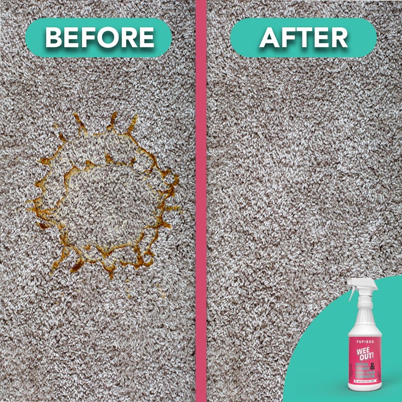 PUPIBOO Wee Out Pet Urine Enzyme Cleaner, Stain and Odor