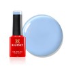 Bluesky Gel Nail Polish 5ml, Within You - SS2308, Sky