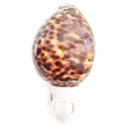 Real Seashell Night Light Tiger Cowrie Shell Decorative Beach Decor Nautical