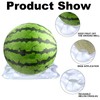 50 Pcs Plastic Melon Cradle Holds up to 20 lbs