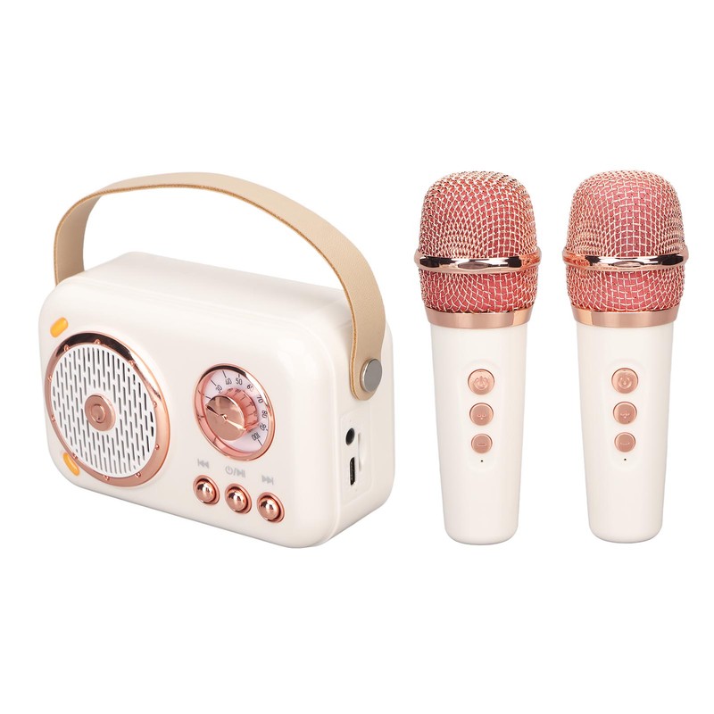 Karaoke Machine Multifunction Enhanced Bass 6 Modes Portable Bluetooth PA