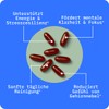BodyBio PC Phosphatidylcholine for Brain Health, Mental Clarity, Cognitive Function,