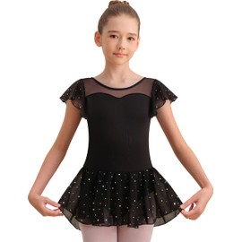 Sanmsoner Girls Flutter Sleeve Ballet Leotard Sequin Mesh Dance Dress,Mesh Sweetheart Neck（237100-06-L