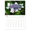 Hydrangeas in the Garden (Monthly Wall Calendar 2026 11.7" x