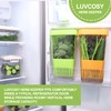 LUVCOSY Fresh Herb Keeper for Refrigerator, Clear BPA-Free Herb Saver,