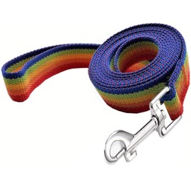 TAIAN 4FT/5FT/6FT Strong Dog Leash, Nylon Dog Leashes for Small Medium Large Dogs (1 in x 5 ft, Rainbow)