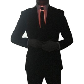 SATUMIKO Burning Man Light Up Fanny Ties Novelty Necktie For Men LED Light Up Ties Costume Accessory (Red-Micro Solid Tie)