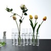 Dinyeo Hinged Flower Vase Small Tiny Glass Foldable Test Tube
