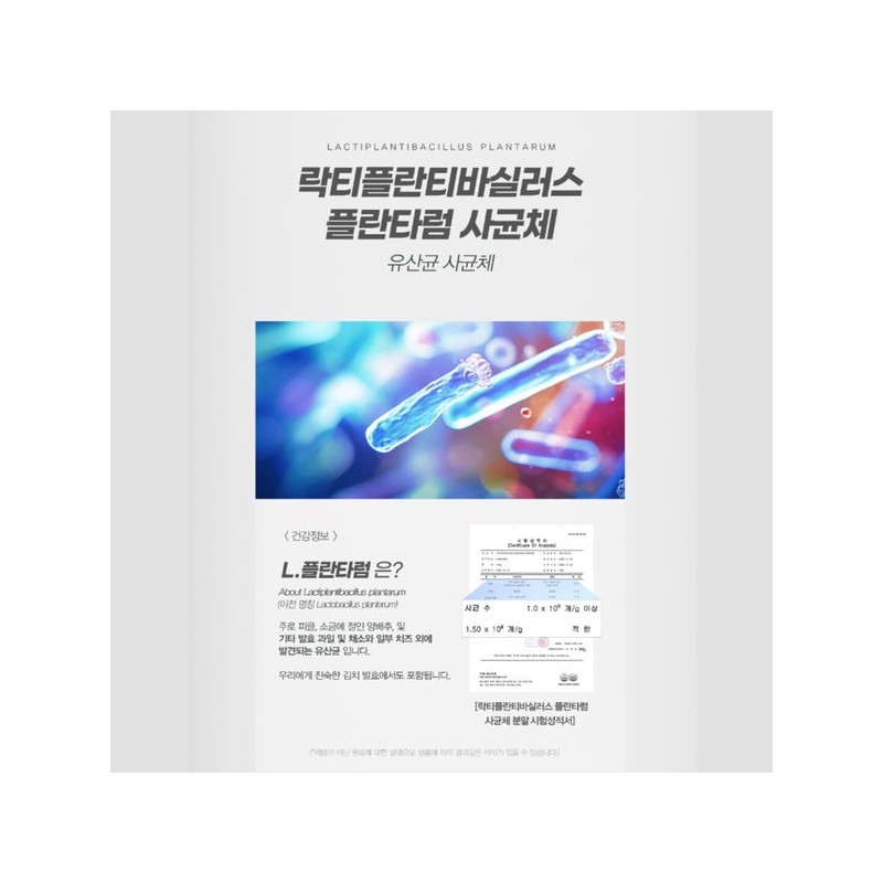 메스틱 매스틱 유산균 브로콜리 양배추 유산균 락티플란티바실러스 플란타럼 사균체 V133