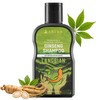 ABERA Champú Anticaspa De Alto Rendimiento Fórmula Herbal Con Extracto