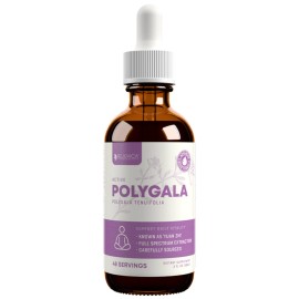 Rejuvica Health Active Polygala - Advanced Polygala Root Extract
