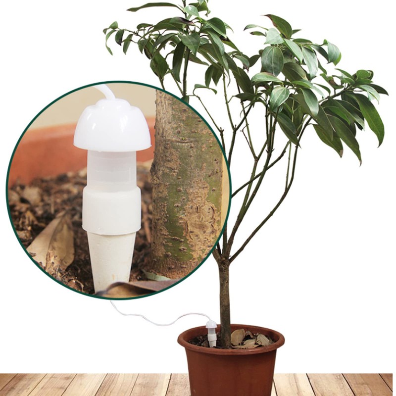 6PCS Plant Self Watering Spikes - Self-Watering Plant Stakes Automatic