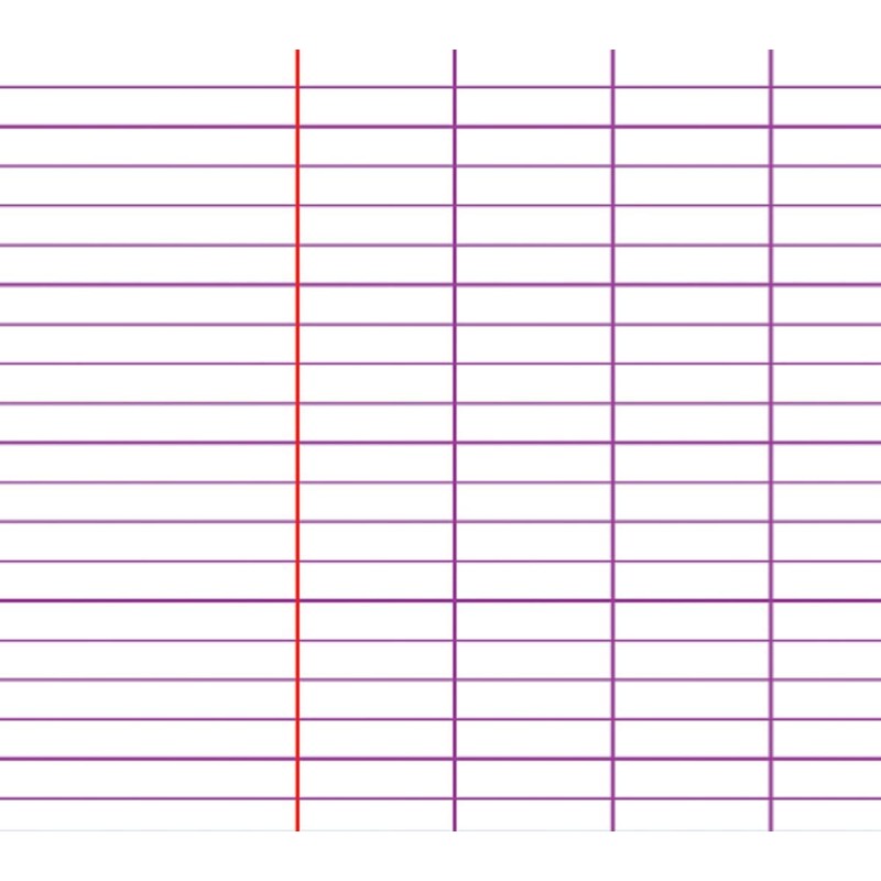 Clairefontaine Linicolor Intensive 329116C Spiral Notebook DIN A4 21 x