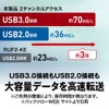 Buffalo RUF3-K64GA-WH/N 64GB USB Memory Stick, USB 3.2 (Gen1) /