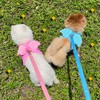 HDKUW Dog Harness with Leash Set, Dog Harness with Angel