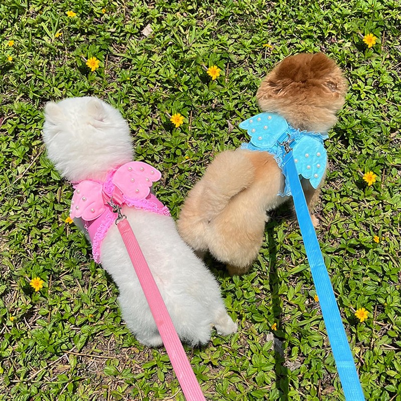 HDKUW Dog Harness with Leash Set, Dog Harness with Angel